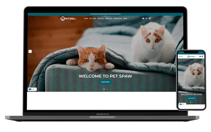 Finished online store in 48 hours – your start into e-commerce